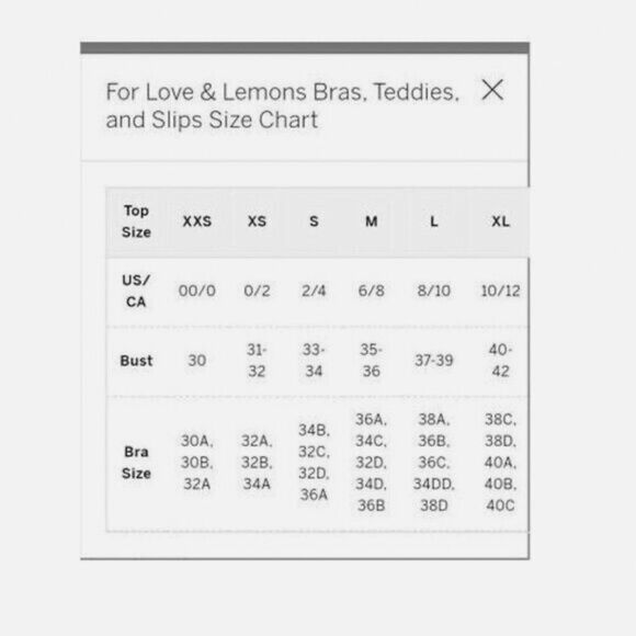 NWT FOR LOVE & LEMONS EMBROIDERED FLORAL MESH UNDERWIRE BRA IN NOIR SIZE 38C - Picture 3 of 4